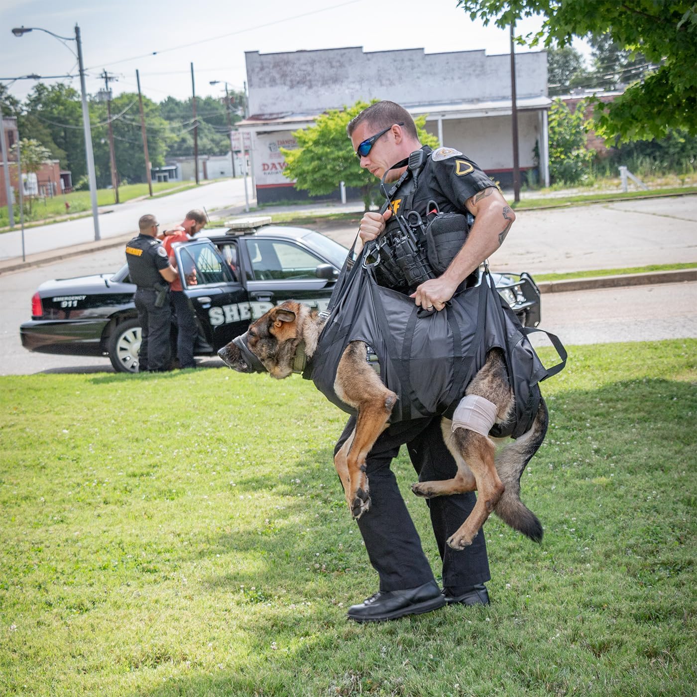 K-9 Litter unfolded showing leg cut-outs